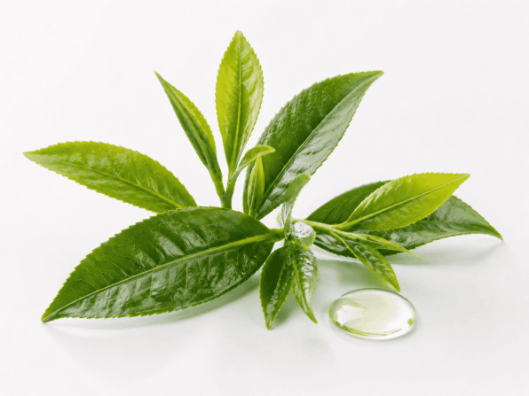 metabo-drops-camellia-sinensis
