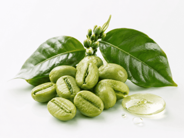 metabo-drops-chlorogenic-acid